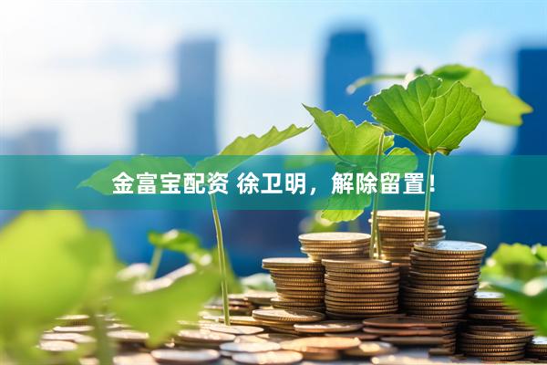 金富宝配资 徐卫明，解除留置！