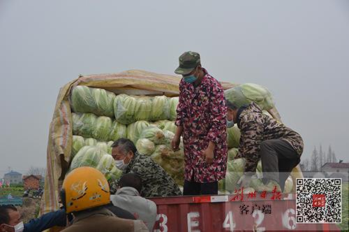 松滋司機最新招聘,松滋司機最新招聘，職業(yè)前景、要求與如何應(yīng)聘