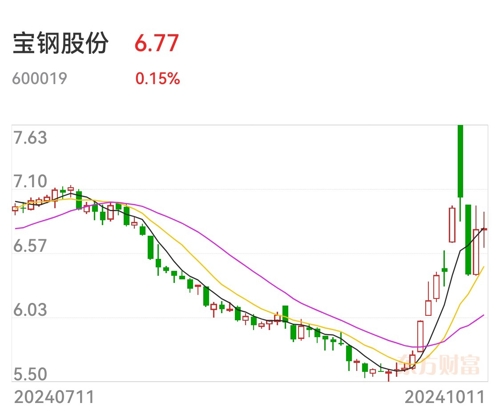 寶鋼股份最新股價,寶鋼股份最新股價動態(tài)及市場解讀