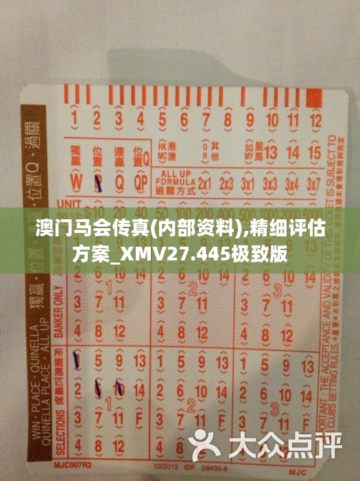 馬會傳真內部絕密信官方下載,馬會傳真內部絕密信官方下載，揭秘與探討