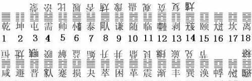 二四六管家婆期期準(zhǔn)資料,二四六管家婆期期準(zhǔn)資料，深度解析與前瞻性預(yù)測(cè)