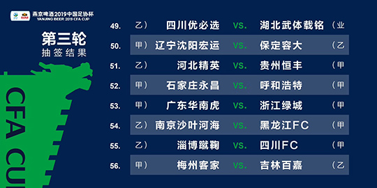 新澳2024年精準資料32期,新澳2024年精準資料32期深度解析