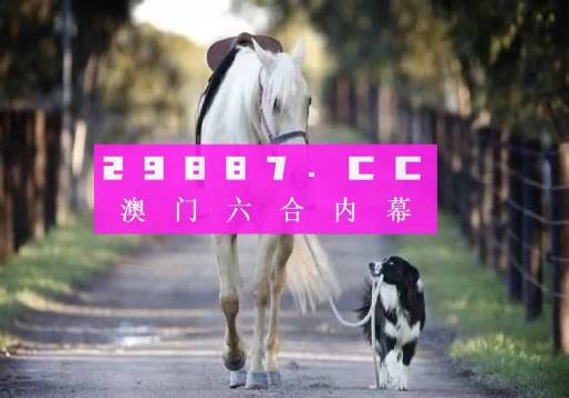 新澳2024年精準(zhǔn)一肖一碼,新澳2024年精準(zhǔn)一肖一碼，預(yù)測與探索