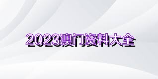 2024澳門正版資料免費大全,澳門正版資料免費大全，探索與啟示（2024版）