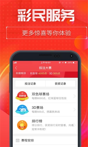 王中王493333中特1肖,王中王493333中特1肖，探索與解讀