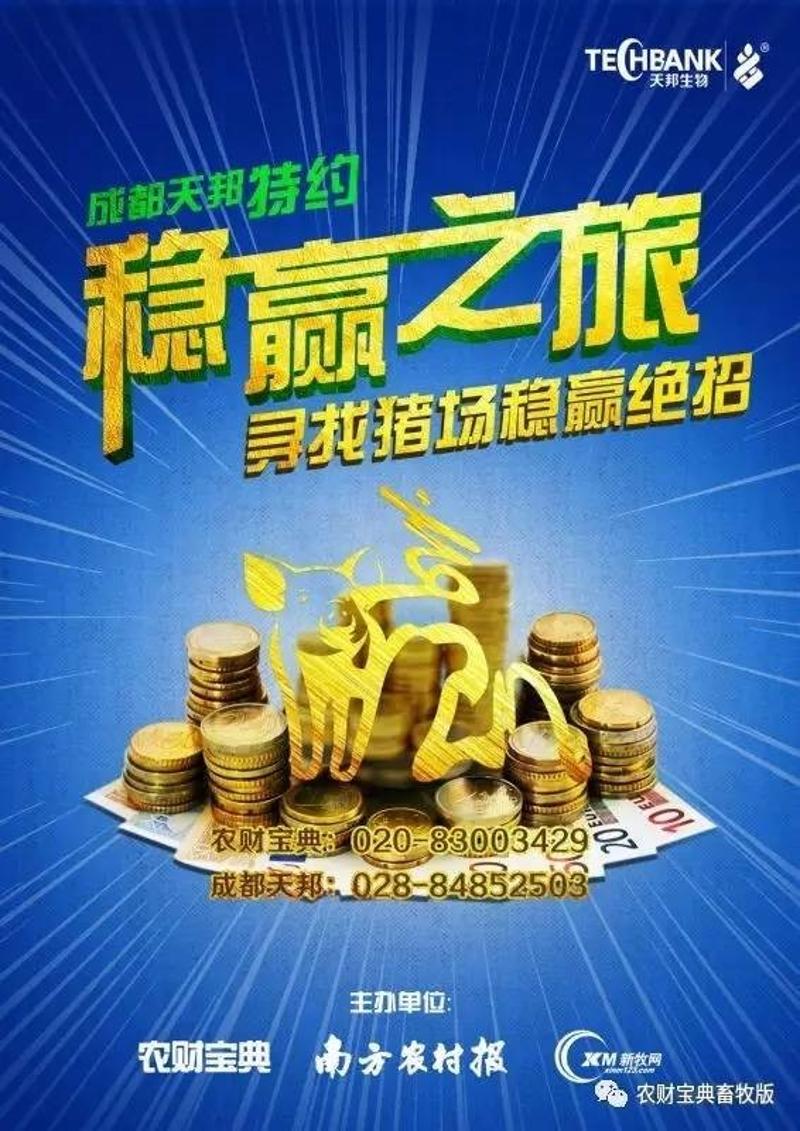 一碼一肖100準(zhǔn)正版資料,一碼一肖，追尋精準(zhǔn)正版資料的探索之旅