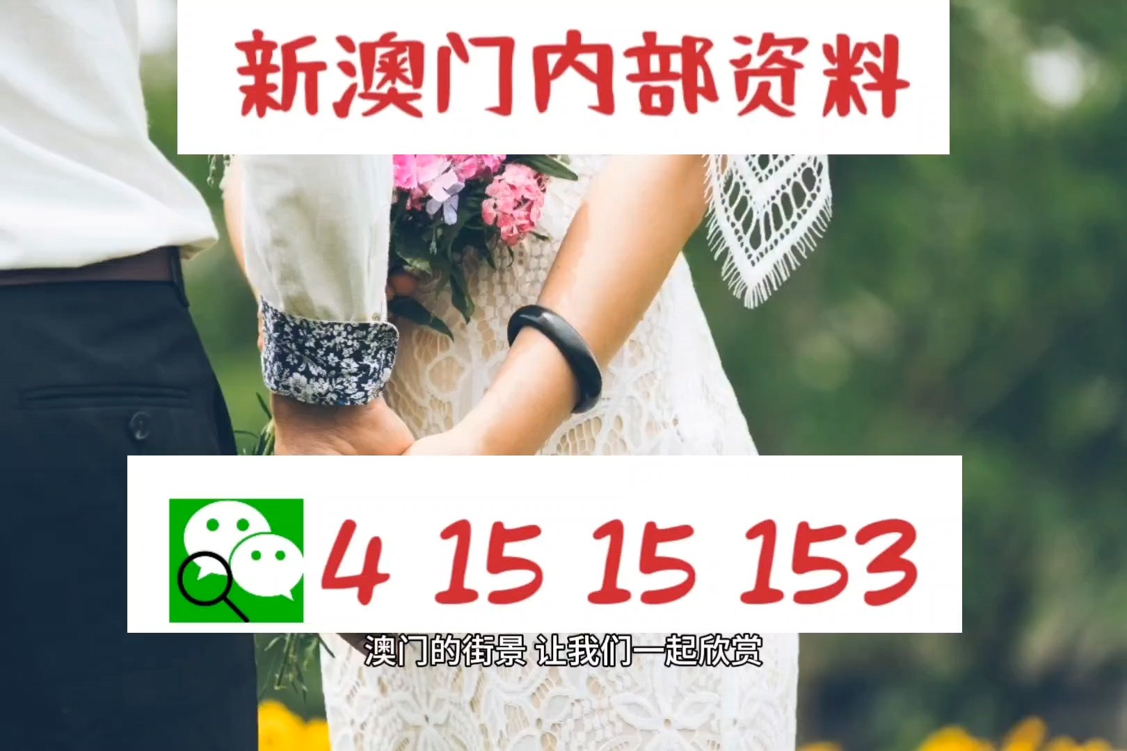 2024新澳今晚資料年051期,探索未來(lái)之門，新澳2024年051期資料解讀