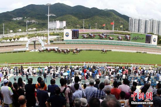 香港馬資料更新最快的,香港賽馬資料更新的速度與深度，與時俱進，掌握最新動態(tài)