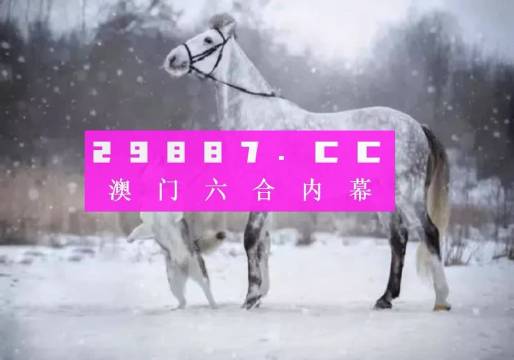 澳門精準(zhǔn)一肖一碼一碼,澳門精準(zhǔn)一肖一碼一碼，探索背后的神秘面紗