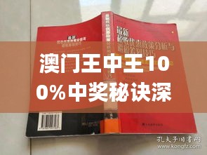 澳門王中王100%期期中一期,澳門王中王，揭秘期期中一期的秘密與魅力