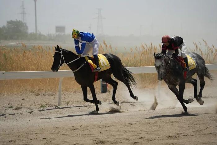 2024今晚香港開特馬,今晚香港開特馬，探索賽馬運(yùn)動(dòng)的魅力與未來(lái)展望