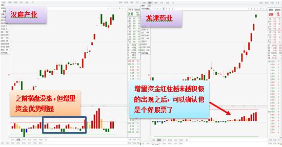 澳門生肖走勢圖精準,澳門生肖走勢圖精準預(yù)測與解讀