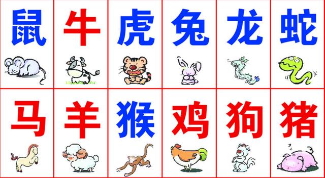 一碼一肖100%精準(zhǔn)生肖第六,一碼一肖，揭秘生肖第六的精準(zhǔn)魅力與奧秘