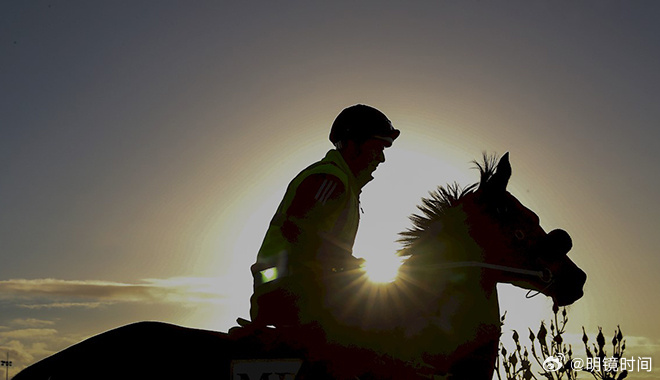 2024澳門特馬今晚開獎93,澳門特馬今晚開獎93，期待與驚喜的交融