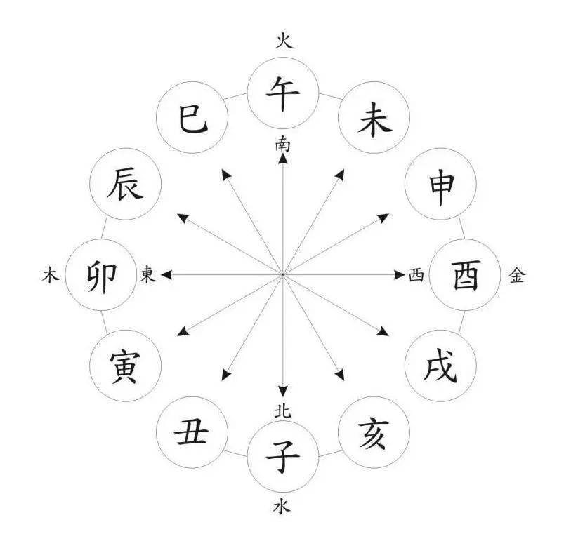 一肖一碼,一肖一碼，探索數(shù)字與生肖的奧秘