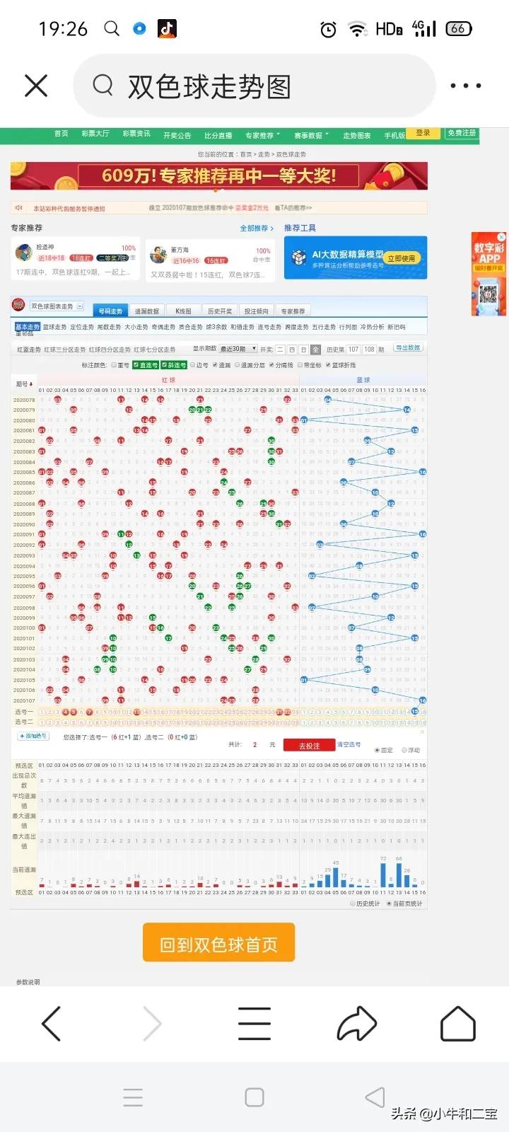 今晚澳門特馬開什么,今晚澳門特馬開什么，探索隨機(jī)性與預(yù)測的邊緣