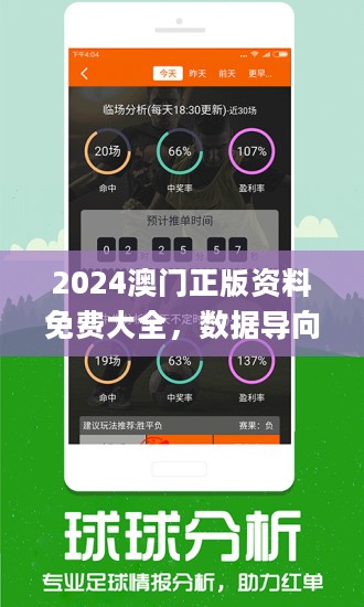 新澳2024正版資料免費大全,新澳2024正版資料免費大全，探索與啟示