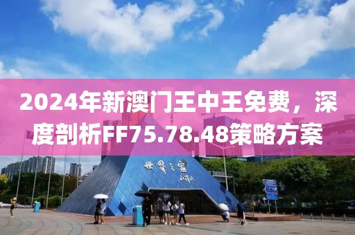 2024年新澳門王中王免費(fèi),探索新澳門，2024年王中王免費(fèi)現(xiàn)象的背后