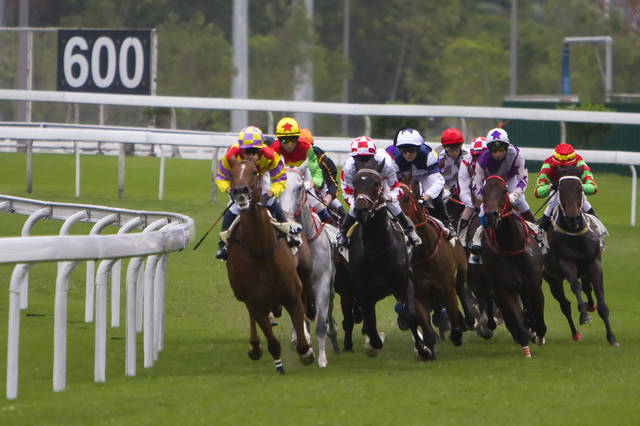 2024今晚香港開特馬開什么,探索香港賽馬文化，2024今晚特馬賽事展望