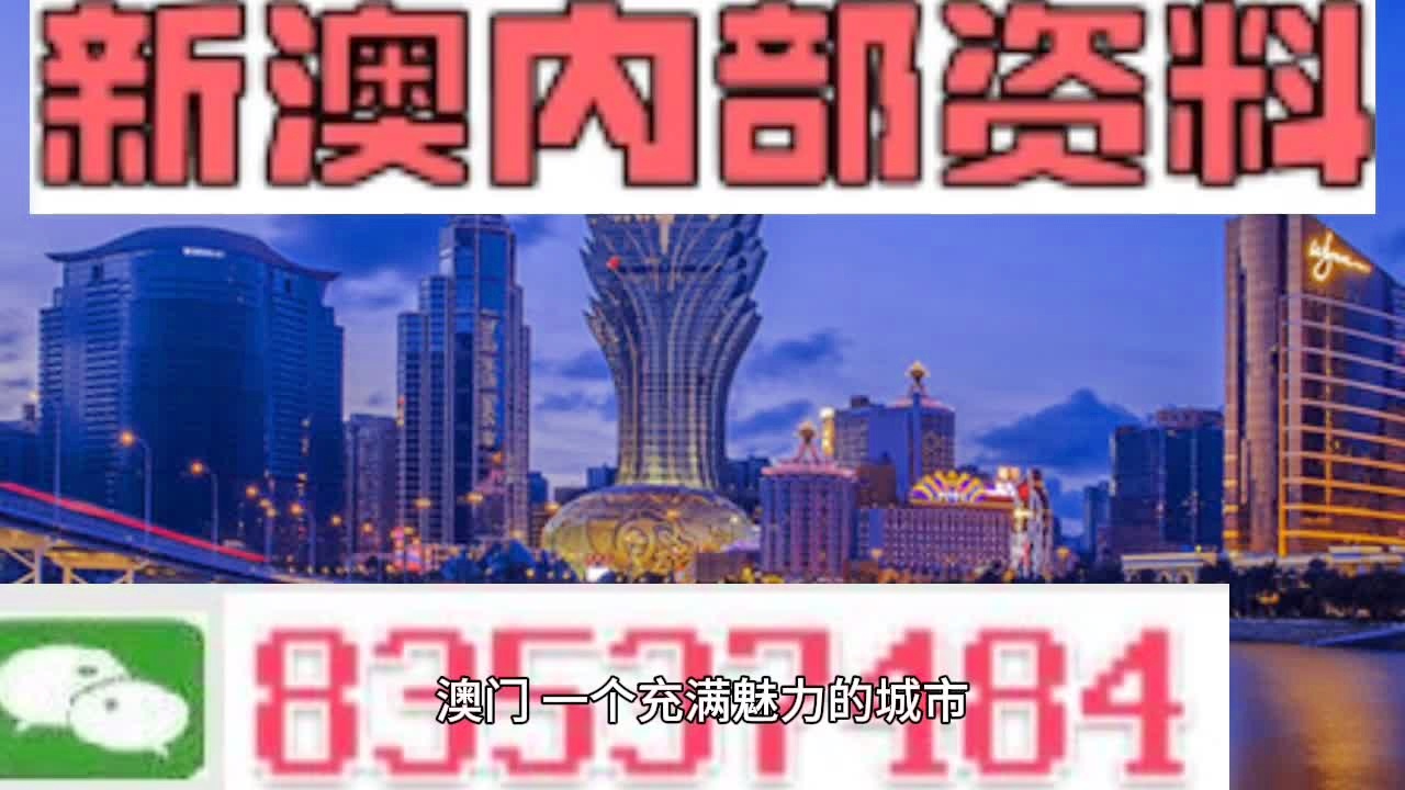 新港澳門免費資料長期公開,新港澳門免費資料長期公開，探索與啟示