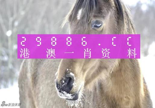 澳門一肖一碼準(zhǔn)確100%,澳門一肖一碼準(zhǔn)確100%的預(yù)測(cè)技巧與揭秘