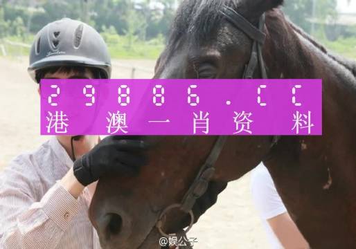 澳門最準(zhǔn)一肖一碼,澳門最準(zhǔn)一肖一碼，揭示背后的犯罪問題