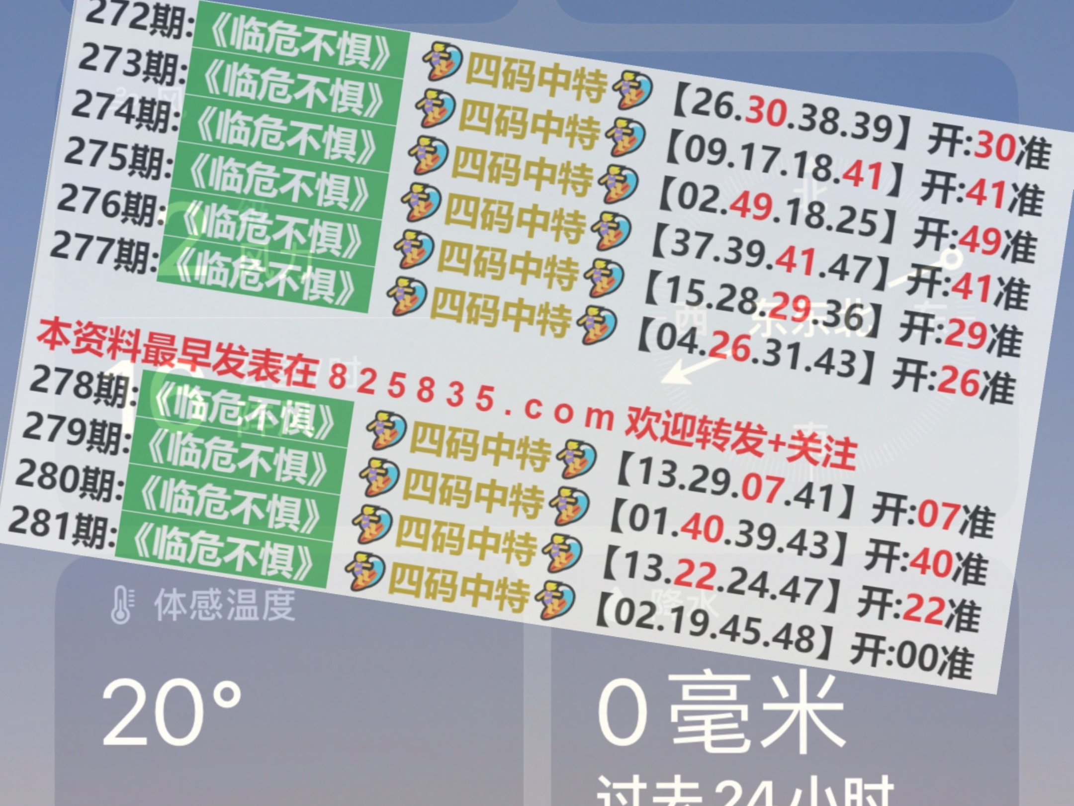 2024澳門特馬今晚開獎56期的,澳門特馬今晚開獎第56期的期待與探索