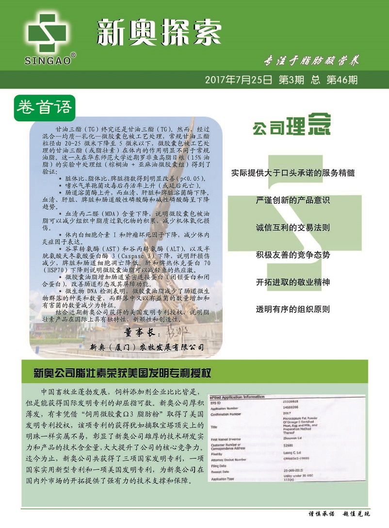 2024新奧精準(zhǔn)正版資料,探索未來之路，解析2024新奧精準(zhǔn)正版資料的重要性與價值