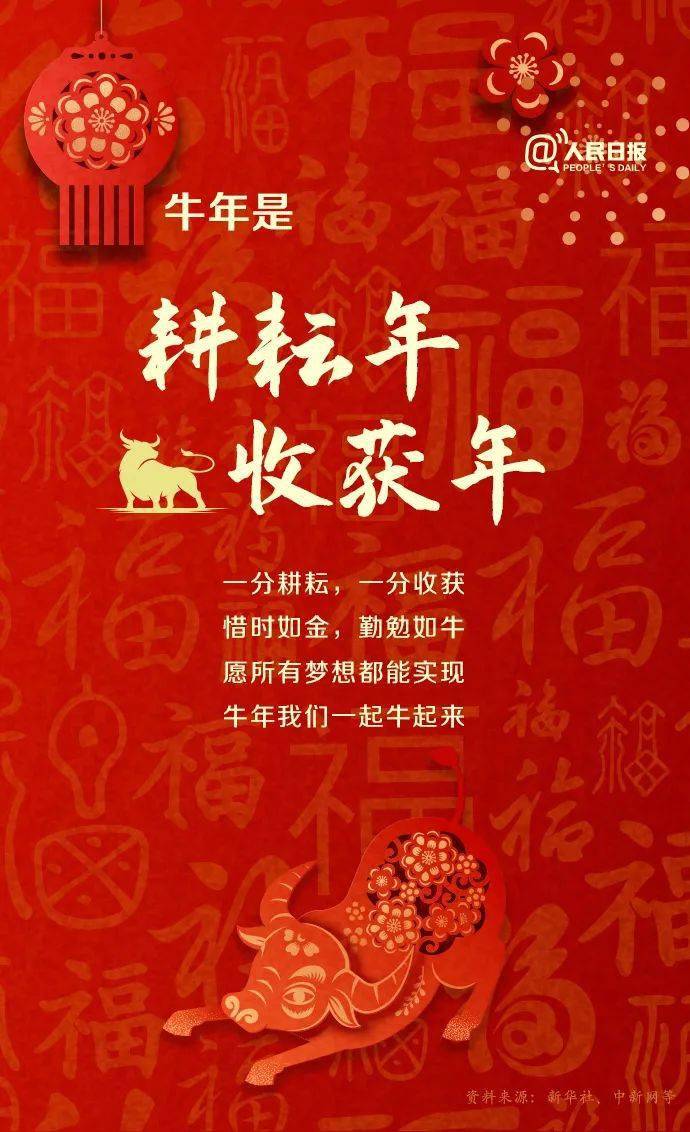 2024新澳門(mén)跑狗圖今晚特,探索新澳門(mén)跑狗圖，今晚特刊的獨(dú)特魅力與未來(lái)展望（2024版）