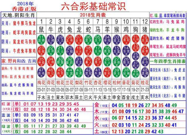 澳門正版資料大全資料生肖卡,澳門正版資料大全資料生肖卡，探索與解析