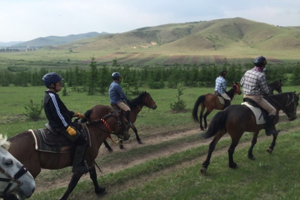 今晚澳門馬出什么特馬,今晚澳門馬會(huì)出什么樣的特馬？探索神秘馬場(chǎng)的奇幻之旅