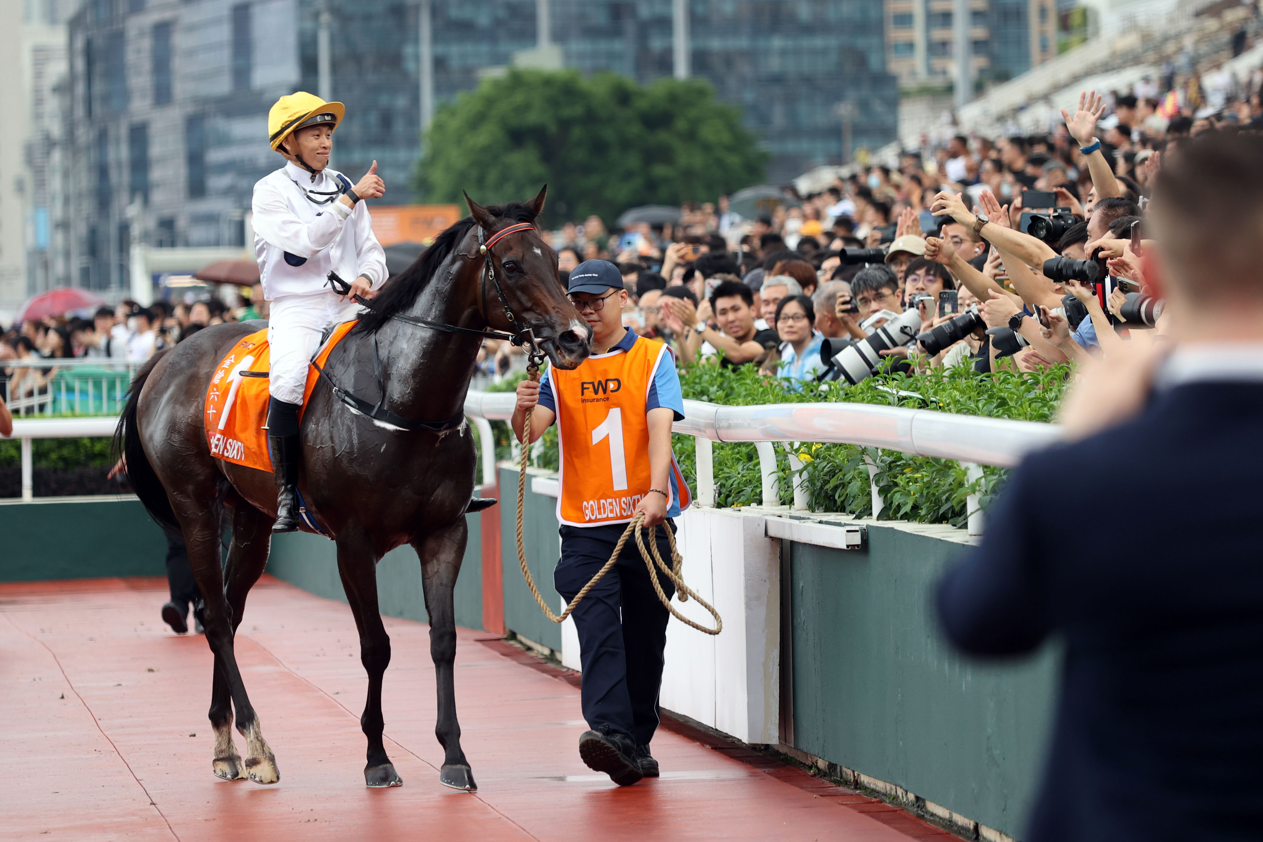 香港馬買馬網(wǎng)站www,香港馬買馬網(wǎng)站www——探索賽馬文化的獨特魅力