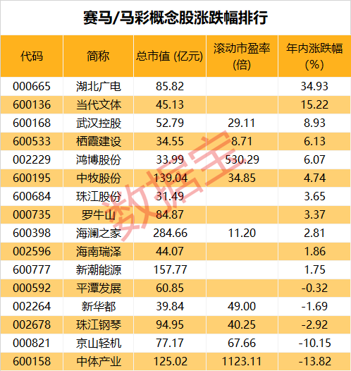 2024澳門馬今晚開獎記錄,澳門馬今晚開獎記錄——探索彩票背后的故事與期待