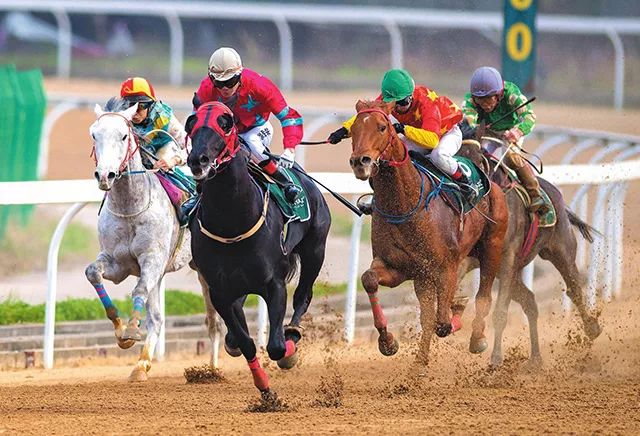 新澳今天開什么特馬,新澳今日開馬揭曉，探索賽馬運動的激情與魅力