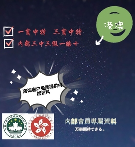 澳門王中王100%的資料三中三,澳門王中王100%精準資料解析——三中三的奧秘