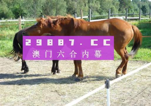 4949澳門特馬今晚開獎(jiǎng)53期,澳門特馬第53期開獎(jiǎng)揭曉，期待與現(xiàn)實(shí)的交匯