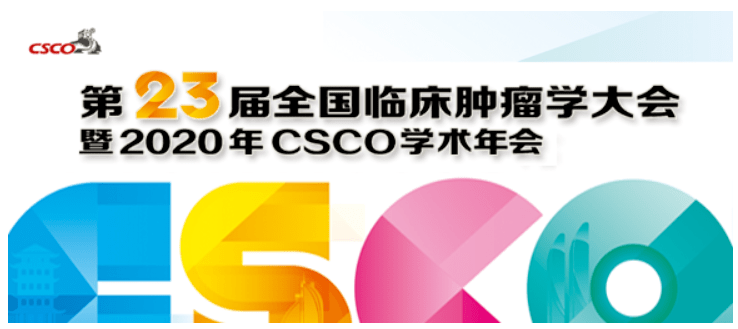 2025新奧資料免費(fèi)精準(zhǔn)071,探索未來，2025新奧資料的免費(fèi)精準(zhǔn)共享之旅（071關(guān)鍵詞解讀）