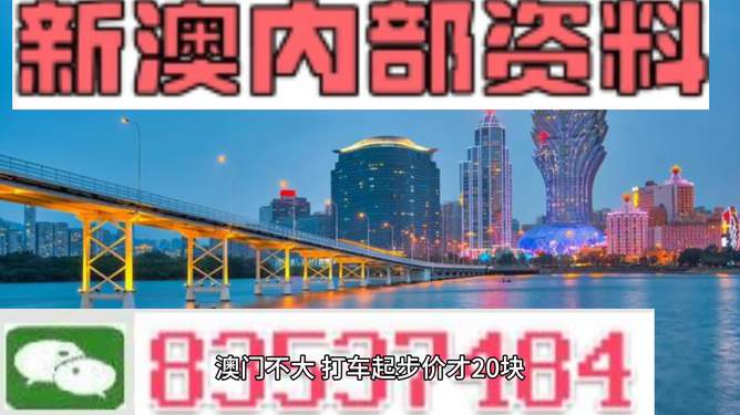 新澳門2025年資料大全宮家婆,新澳門2025年資料大全宮家婆，探索與解讀