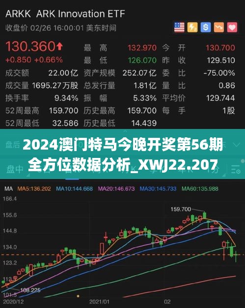 2025年澳門特馬今晚,澳門特馬在2025年的新篇章，探索未來與傳承歷史