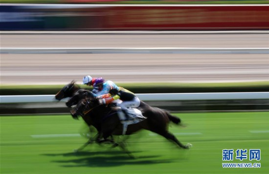 香港最準馬會資料免費,香港最準馬會資料免費，探索賽馬運動的魅力與公開資料的重要性