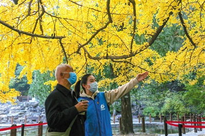 2025澳門天天開好彩大全46期,澳門天天開好彩大全，探索彩票文化背后的故事與期待（第46期）