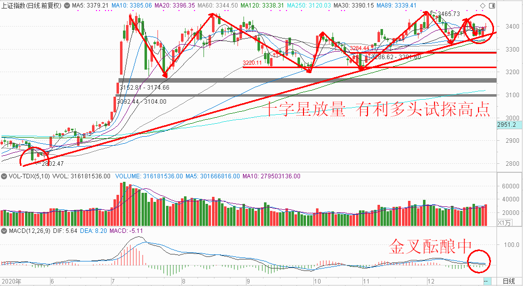 2025今晚特馬開(kāi)什么,關(guān)于今晚特馬開(kāi)什么的研究與預(yù)測(cè)——走向未來(lái)的視角（以文章標(biāo)題為準(zhǔn)）