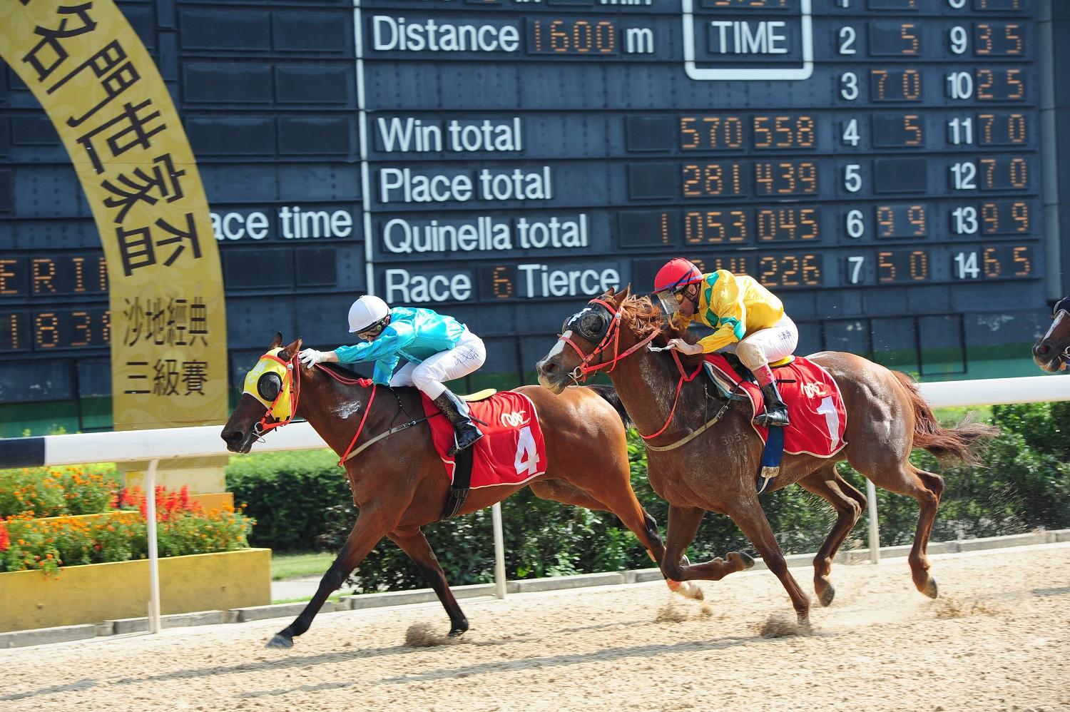 澳門馬會傳真,澳門馬會傳真，探索賽馬運(yùn)動的魅力與現(xiàn)代化發(fā)展