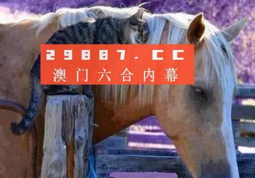 澳門二四六精準(zhǔn)大全,澳門二四六精準(zhǔn)大全，探索與解析