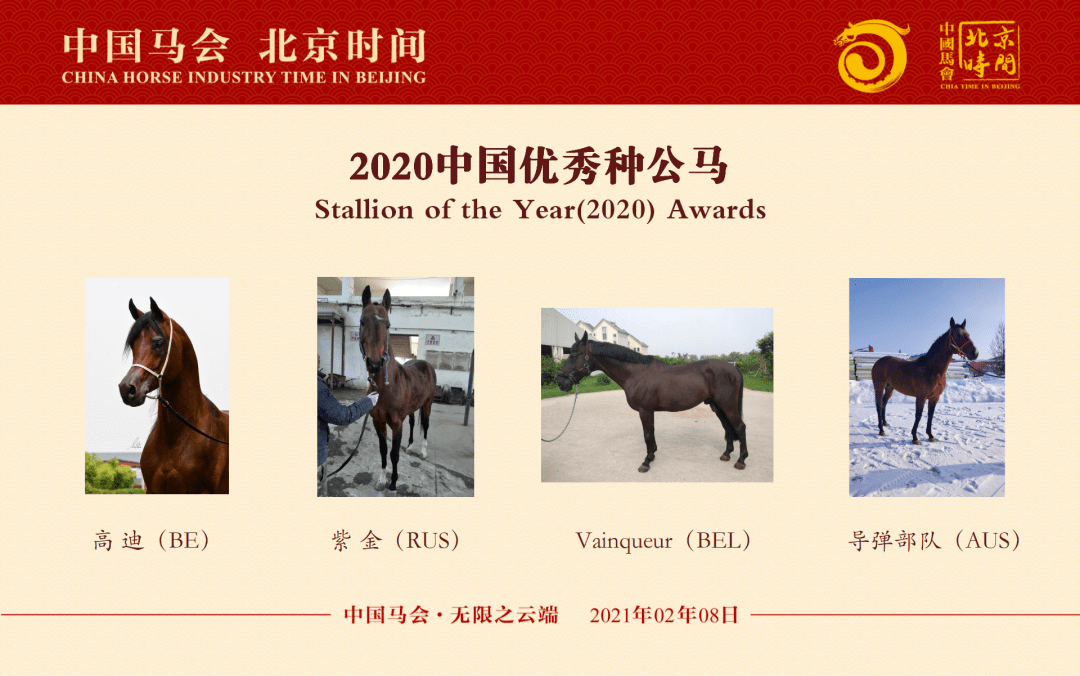 2025今晚香港開特馬開什么,關(guān)于香港賽馬會特馬賽事的預(yù)測與探討——以今晚（XXXX年XX月XX日）的特馬賽事為例