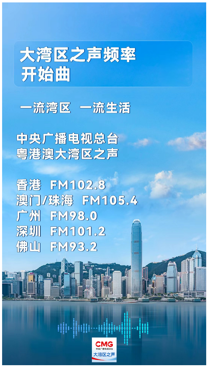 新澳門精準資料期期精準,新澳門精準資料期期精準，探索與解讀