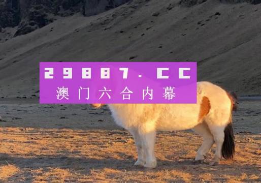 澳門一碼100%準(zhǔn)確,澳門一碼100%準(zhǔn)確預(yù)測(cè)背后的秘密與探索