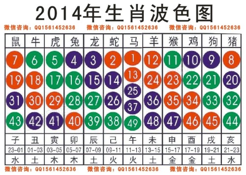 2025十二生肖49碼表,揭秘十二生肖與數(shù)字世界的神秘聯(lián)系，2025年十二生肖49碼表詳解