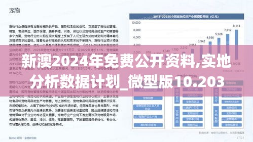 新澳2025大全正版免費資料,新澳2025大全正版免費資料，探索與啟示