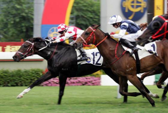 2025今晚香港開特馬,香港賽馬盛宴，2025今晚特馬開賽盛況展望